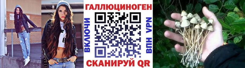 Галлюциногенные грибы Cubensis  Коммунар 